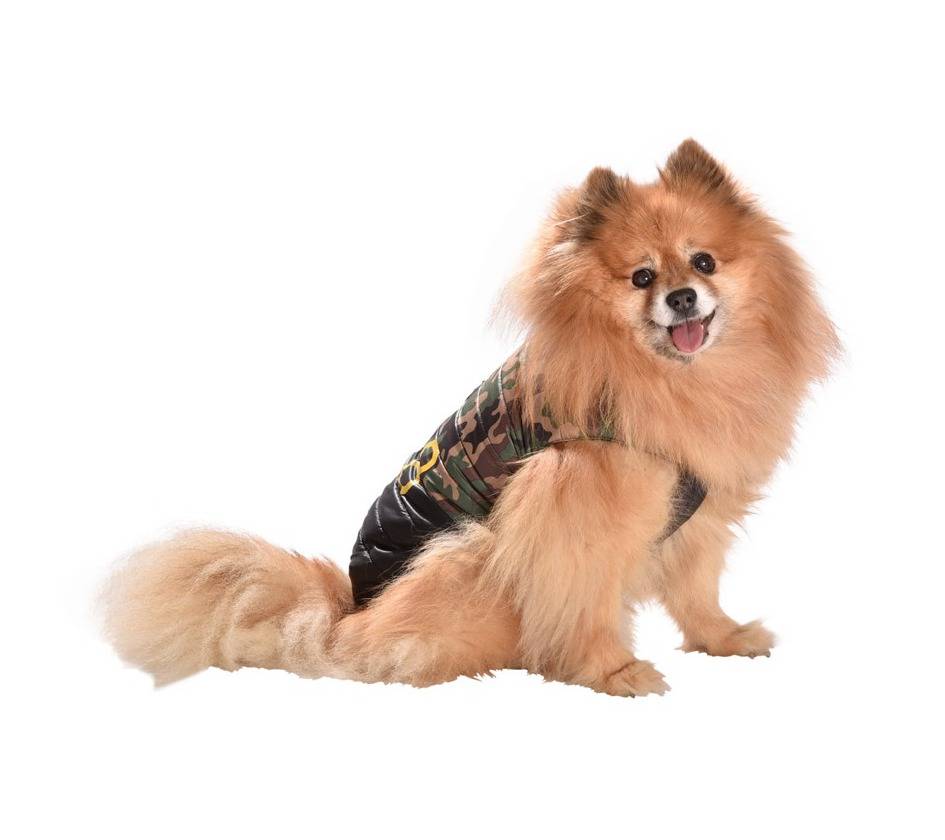 Bobby Winterjas Norm - Premium Hondenkleding > hondenjas from Bobby - Just €20! Shop now at Frenkiezdogshop