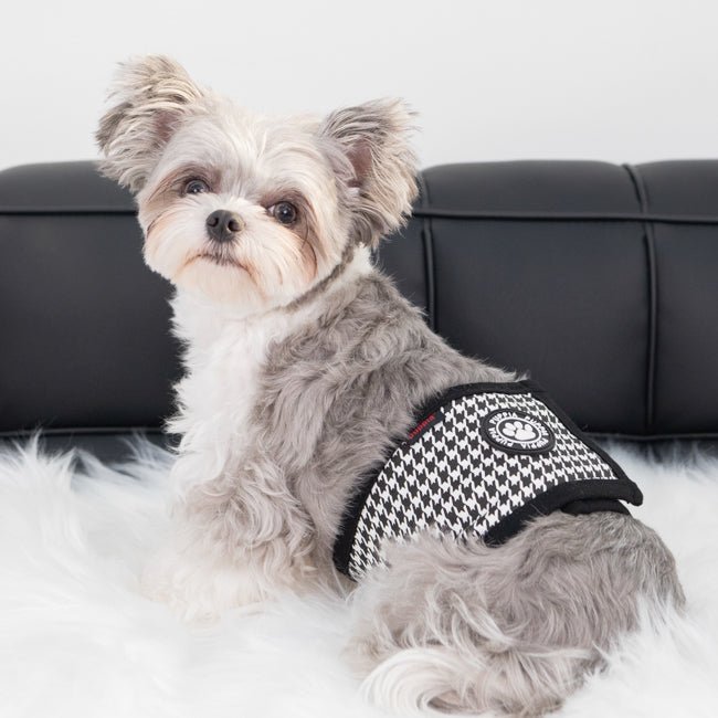 Puppia Egon Manner band Black Plasband > Manner band Small