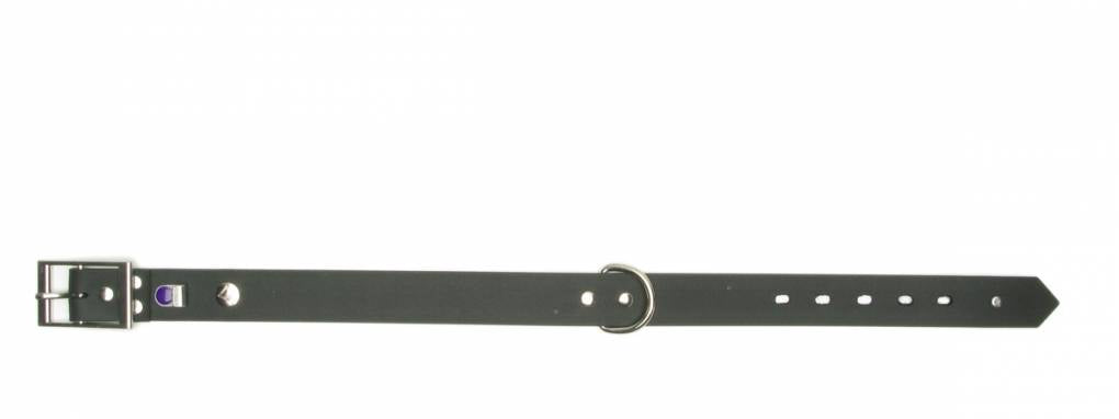 Multi Collar Basis Halsband Zwart - Premium Buddy Belts from Buddy Belts - Just €5! Shop now at Frenkiezdogshop