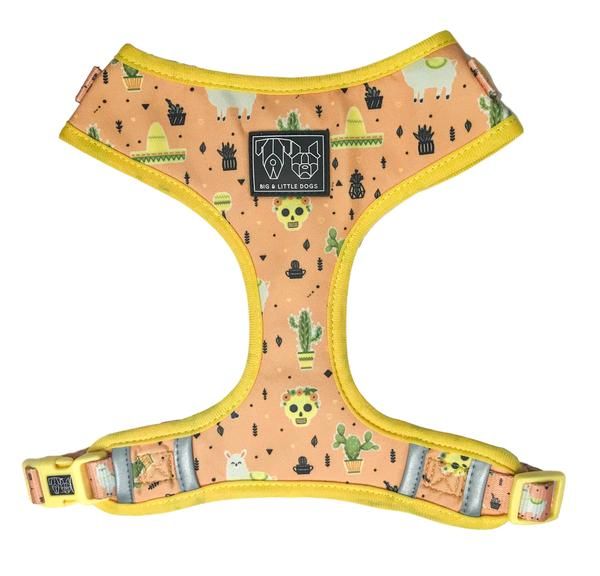Big and Little Dogs Adjustable Dog Harness Mexicali ( X Large ) - Premium hondentuig > honden harnas from Big and Little Dogs - Just €10! Shop now at Frenkiezdogshop