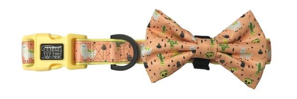 Big and Little Dogs halsband Mexicali ( Small & Medium ) - Premium halsband > hondenhalsband from Big and Little Dogs - Just €10! Shop now at Frenkiezdogshop