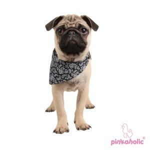 Pinkaholic Carla Bandana Navy Hondenkleding > bandana Small