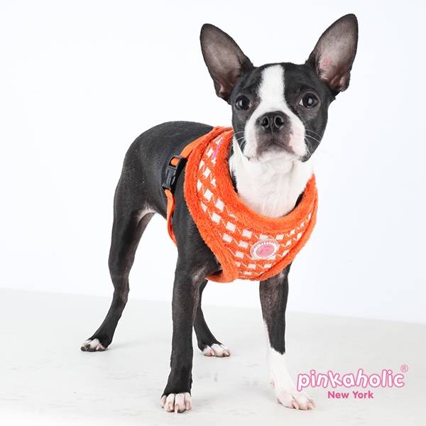 Pinkaholic Cosmo Harness orange - Premium hondentuig > honden harnas from Pinkaholic - Just €20! Shop now at Frenkiezdogshop