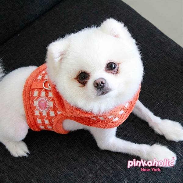 Pinkaholic Cosmo Pinka Harness orange ( alleen small) hondentuig > honden harnas > model B Small