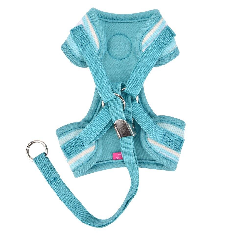 Pinkaholic Cara Harness C Aqua - Premium hondentuig > honden harnas from Pinkaholic - Just €10! Shop now at Frenkiezdogshop