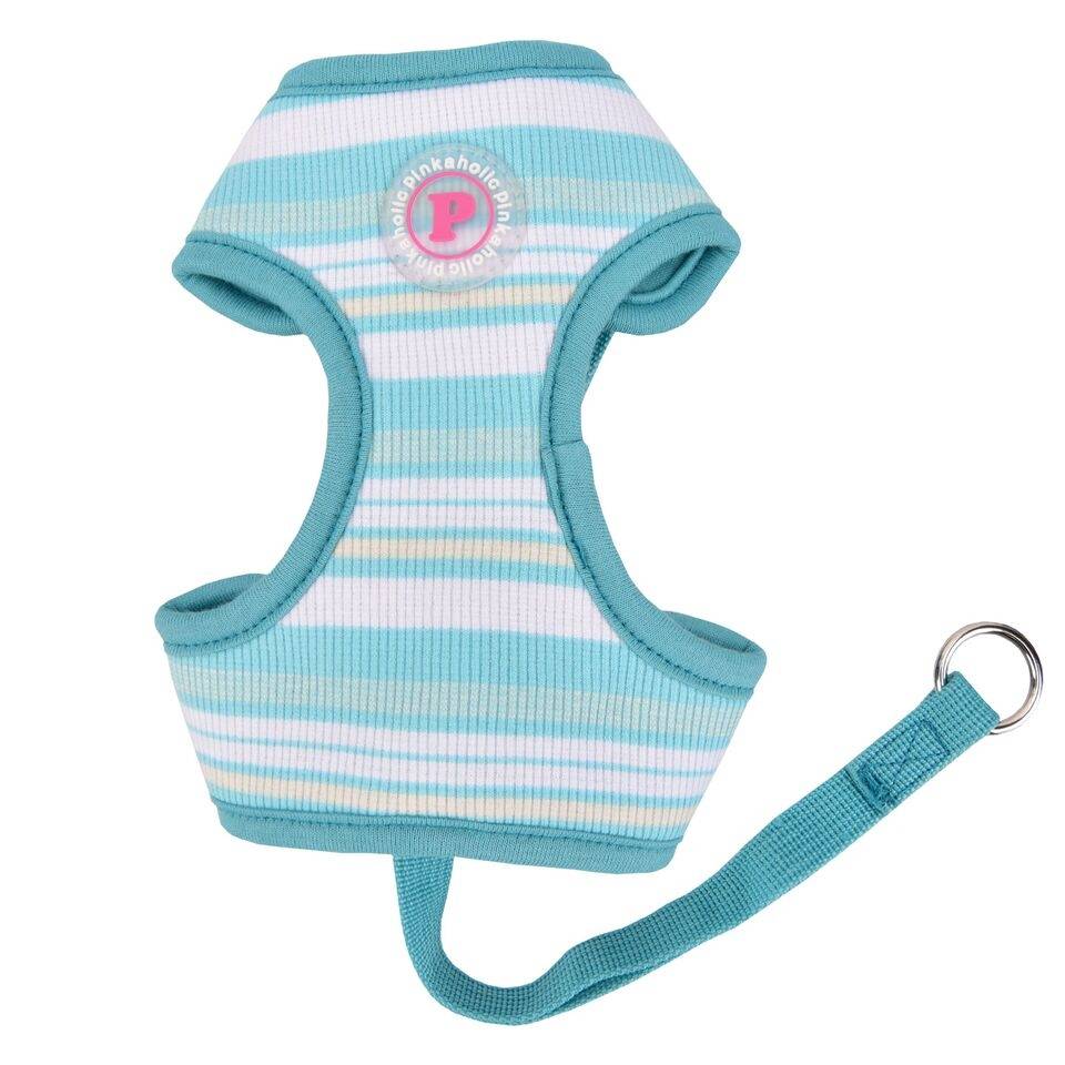 Pinkaholic Cara Harness C Aqua - Premium hondentuig > honden harnas from Pinkaholic - Just €10! Shop now at Frenkiezdogshop