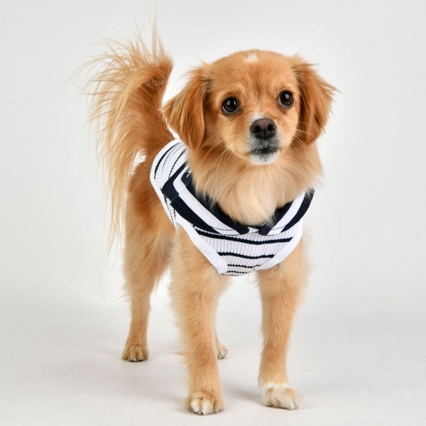 Pinkaholic Cordelia Shirt Navy - Premium hondenkleding > hondenshirt from Pinkaholic - Just €20! Shop now at Frenkiezdogshop