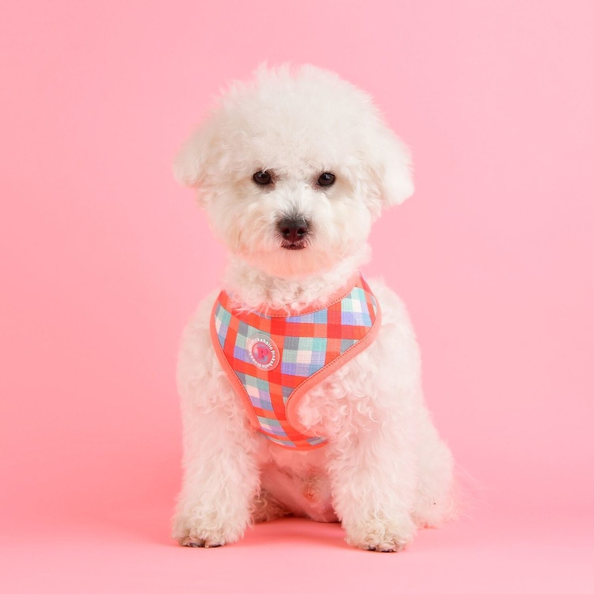 Pinkaholic Vivica Harness pink hondentuig > honden harnas > model A Small