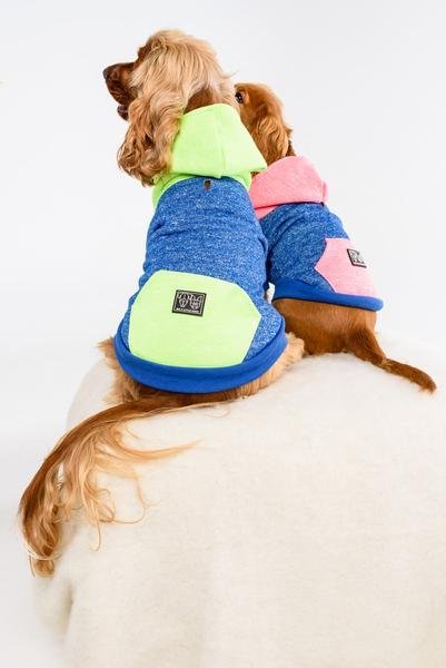 Big and Little Dogs hoody jumper Active Pup Neon Pink ( Large ) Hondenkleding > Hondentrui Small