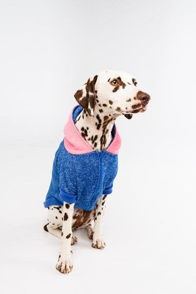 Big and Little Dogs hoody jumper Active Pup Neon Pink ( Large ) - Premium Hondenkleding > Hondentrui from Big and Little Dogs - Just €10! Shop now at Frenkiezdogshop