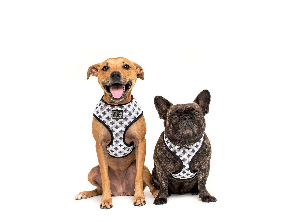 Big & Little Dogs Classic Harness Nordic Crosses ( XX LARGE ) hondentuig > honden harnas > model A X - Large