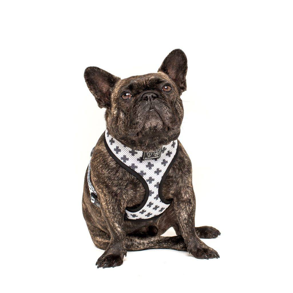 Big & Little Dogs Classic Harness Nordic Crosses ( XX LARGE ) hondentuig > honden harnas > model A X - Large