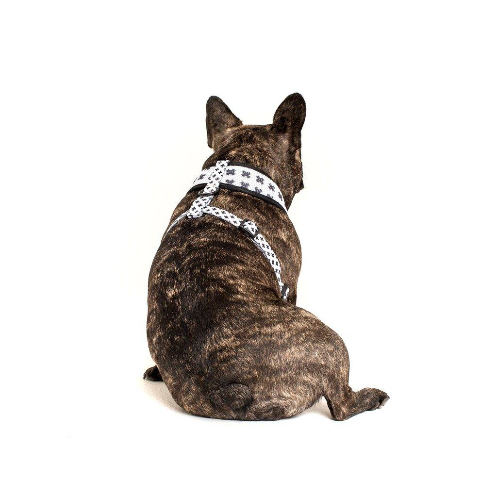 Big & Little Dogs Classic Harness Nordic Crosses ( XX LARGE ) - Premium hondentuig > honden harnas from Big and Little Dogs - Just €10! Shop now at Frenkiezdogshop