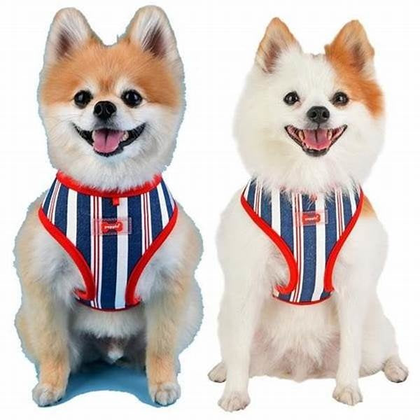 Puppia Zorion Harness model A Red - Premium hondentuig > honden harnas from Puppia - Just €20! Shop now at Frenkiezdogshop