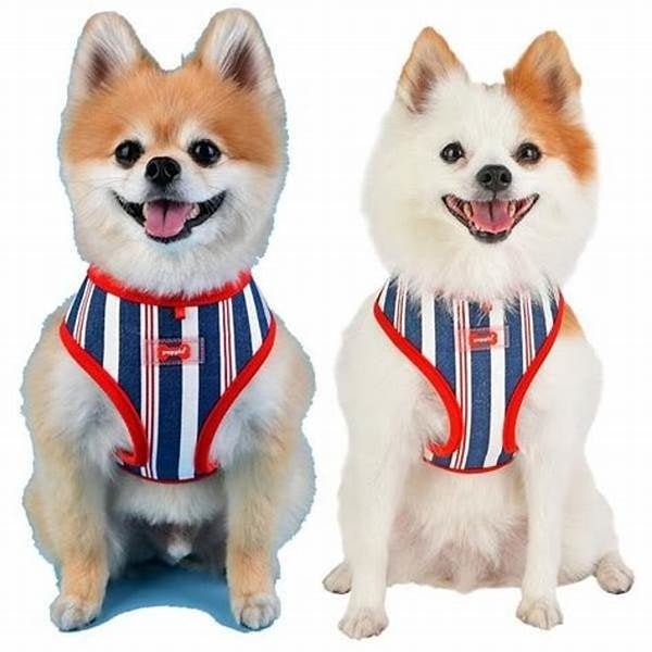 Puppia Zorion Harness model A Red hondentuig > honden harnas > model A Small