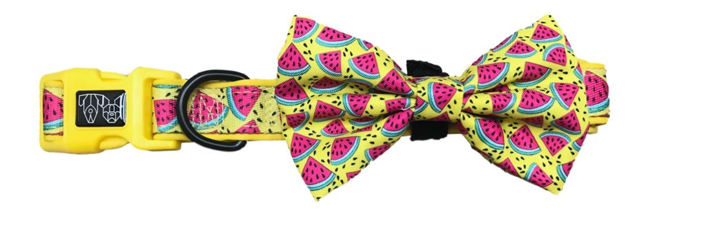 Big and Little Dogs Halsband One in a Melon - Premium halsband > hondenhalsband from Big and Little Dogs - Just €10! Shop now at Frenkiezdogshop