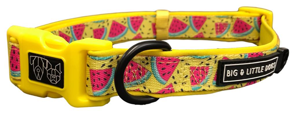 Big and Little Dogs Halsband One in a Melon - Premium halsband > hondenhalsband from Big and Little Dogs - Just €10! Shop now at Frenkiezdogshop