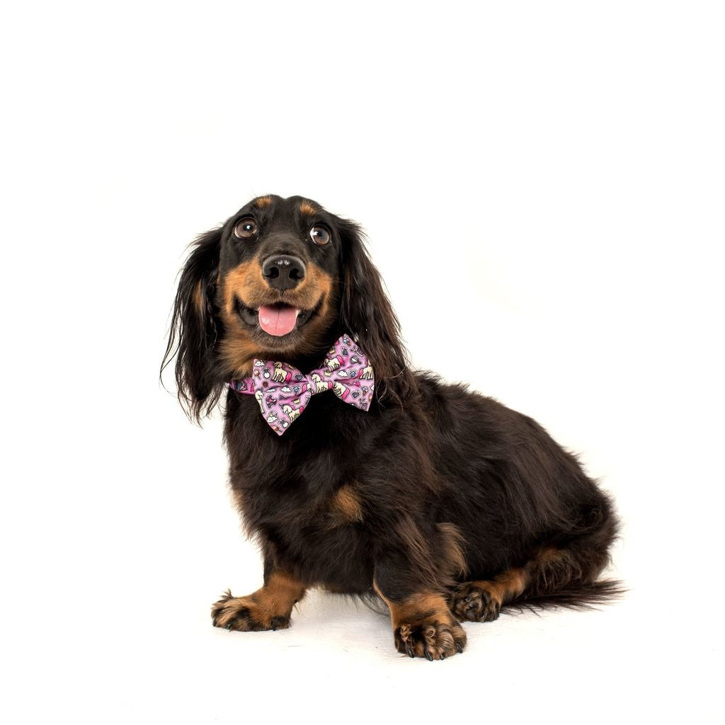 Big and Little Dogs Halsband One of A Kind ( LARGE ) - Premium halsband > hondenhalsband from Big and Little Dogs - Just €10! Shop now at Frenkiezdogshop