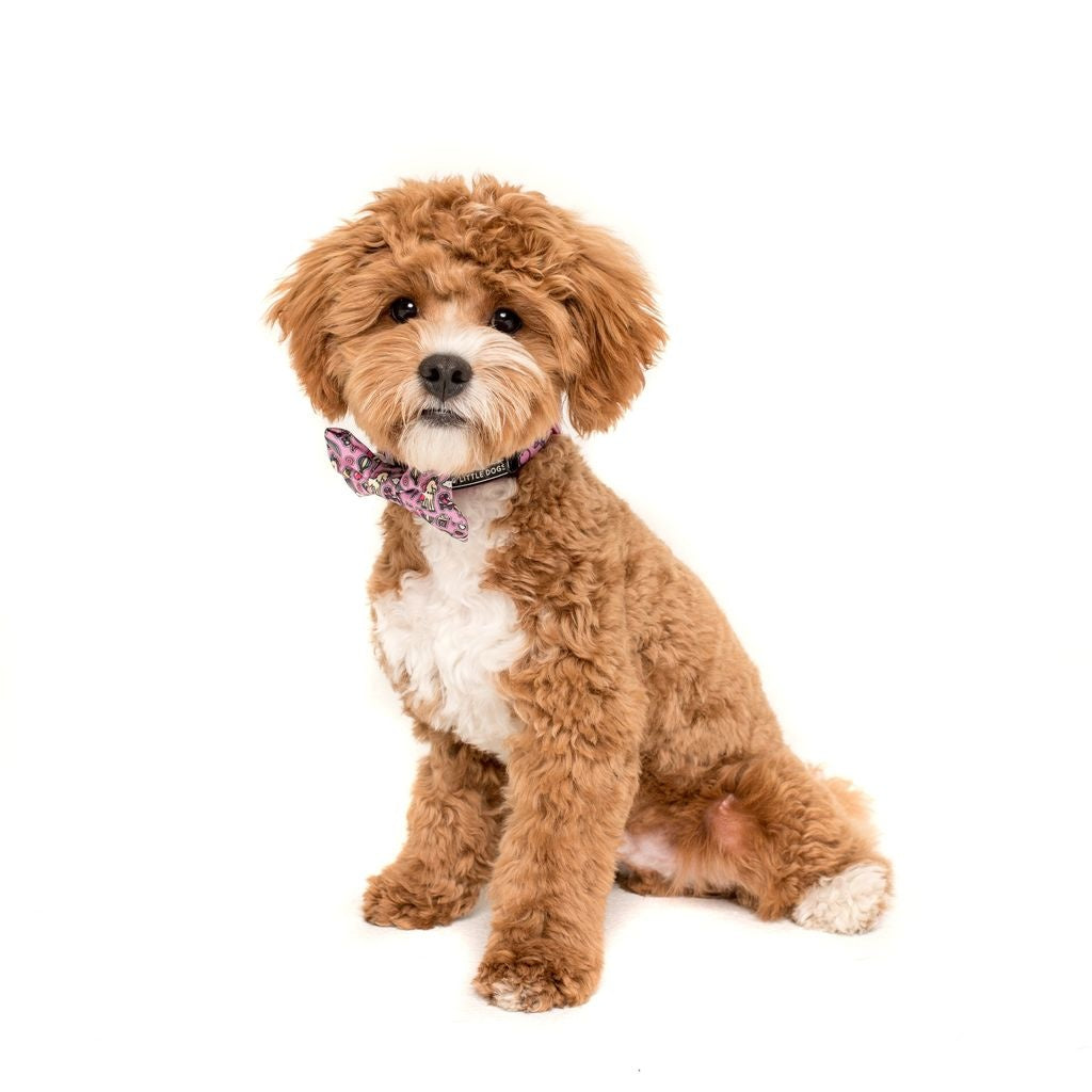 Big and Little Dogs Halsband One of A Kind ( LARGE ) - Premium halsband > hondenhalsband from Big and Little Dogs - Just €10! Shop now at Frenkiezdogshop