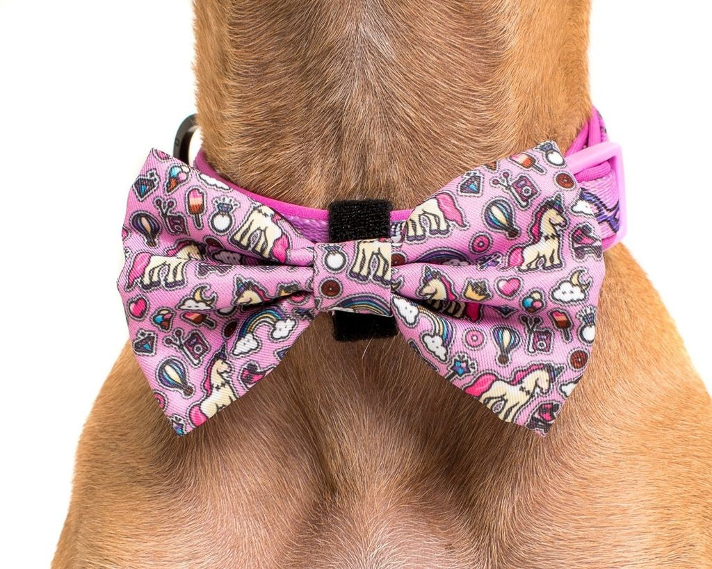 Big and Little Dogs Halsband One of A Kind ( LARGE ) - Premium halsband > hondenhalsband from Big and Little Dogs - Just €10! Shop now at Frenkiezdogshop