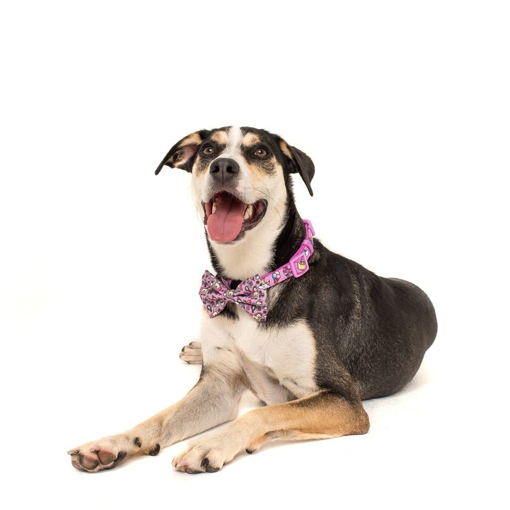 Big and Little Dogs Halsband One of A Kind ( LARGE ) halsband > hondenhalsband Medium