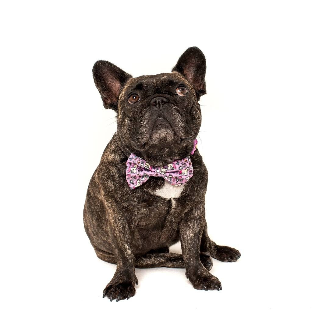 Big and Little Dogs Halsband One of A Kind ( LARGE ) halsband > hondenhalsband Medium