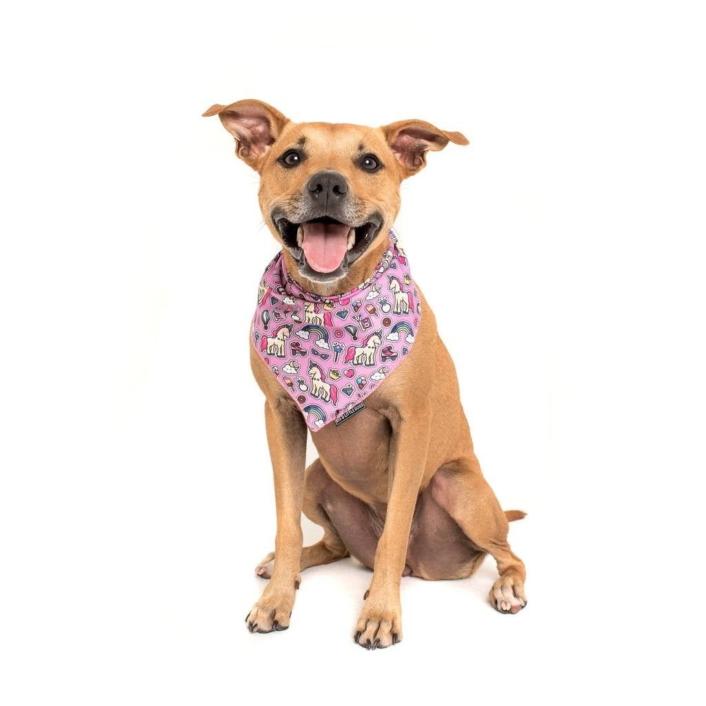 Big and Little Dogs Bandana One of A Kind (ALLEEN M/L) Hondenkleding > bandana Small/Medium