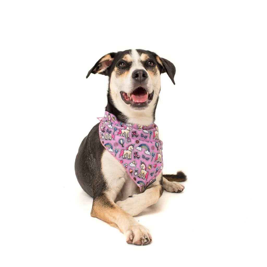 Big and Little Dogs Bandana One of A Kind (ALLEEN M/L) Hondenkleding > bandana Small/Medium