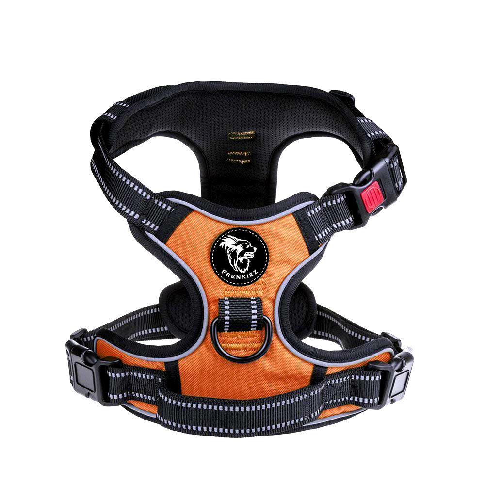 Frenkiez reflective Y tuig dog harness orange - Premium hondentuig > honden harnas from Frenkiez - Just €20! Shop now at Frenkiezdogshop