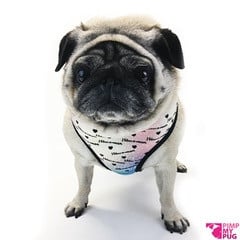 Pimp My Pug Harness Reversible Rainbow hondentuig > honden harnas Small
