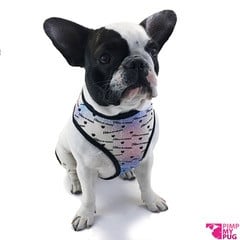 Pimp My Pug Harness Reversible Rainbow hondentuig > honden harnas Small