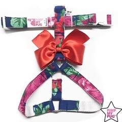 Harness blue flowers orange bow - Premium hondentuig > honden harnas from Pimp My Pug - Just €10! Shop now at Frenkiezdogshop