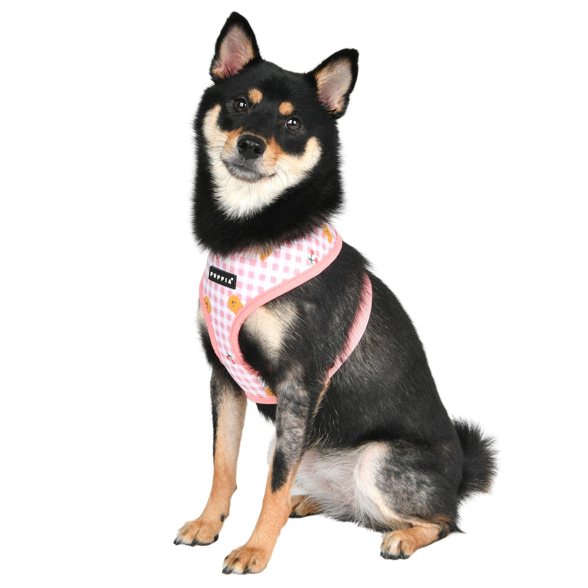 Puppia Baba Harness Model A Indian Pink - Premium hondentuig > honden harnas from Puppia - Just €20! Shop now at Frenkiezdogshop