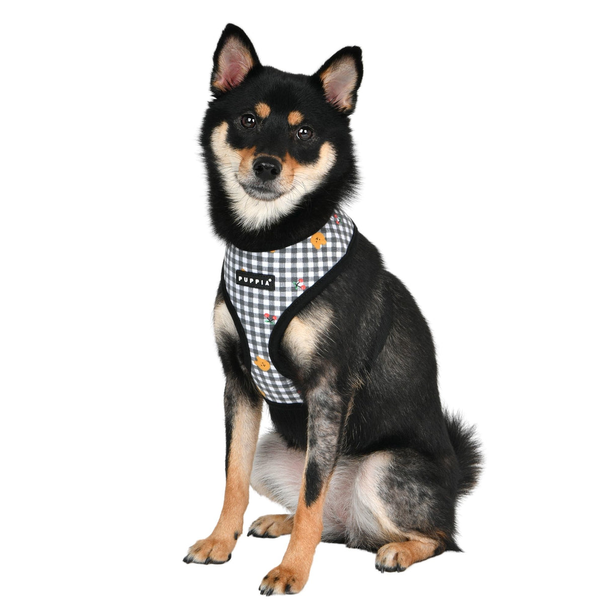 Puppia Baba Harness Model A Black - Premium hondentuig > honden harnas from Puppia - Just €20! Shop now at Frenkiezdogshop