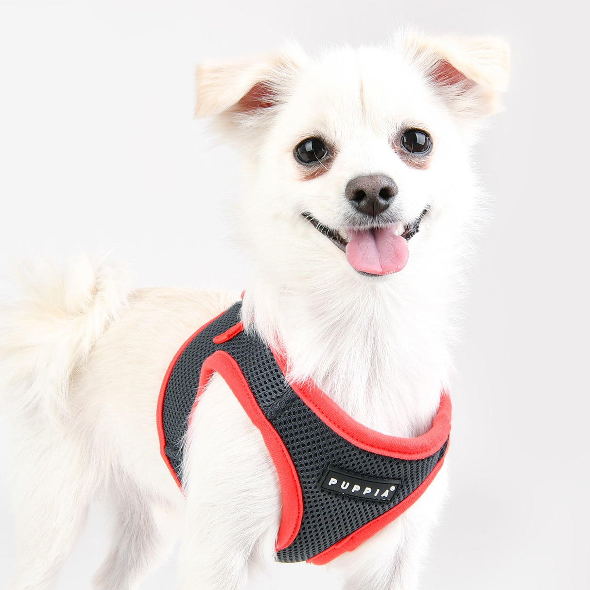 Puppia Soft Vest Harness II model B Grey hondentuig > honden harnas > model B Small