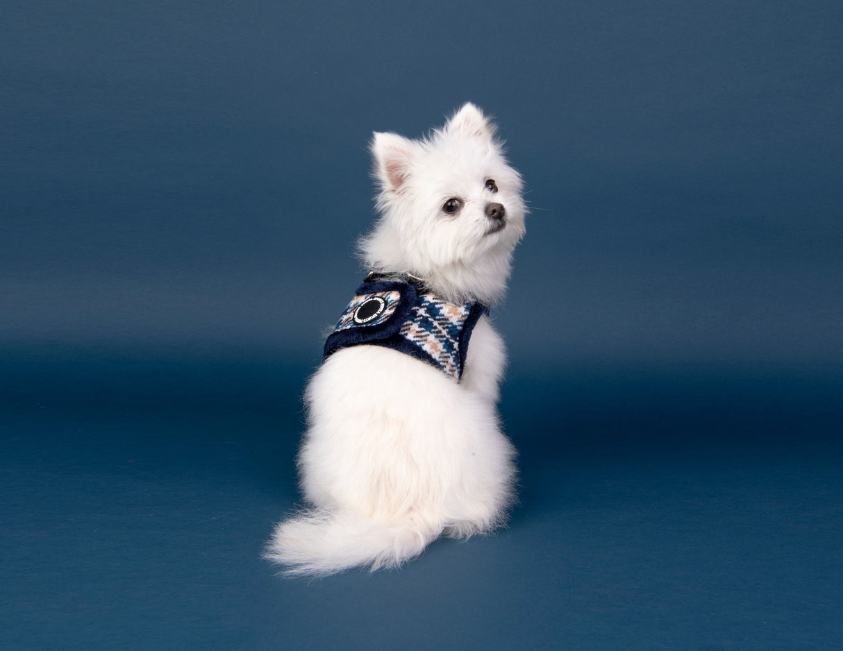 Puppia Vest Harness B Kellen Navy - Premium hondentuig > honden harnas from Puppia - Just €24.99! Shop now at Frenkiezdogshop