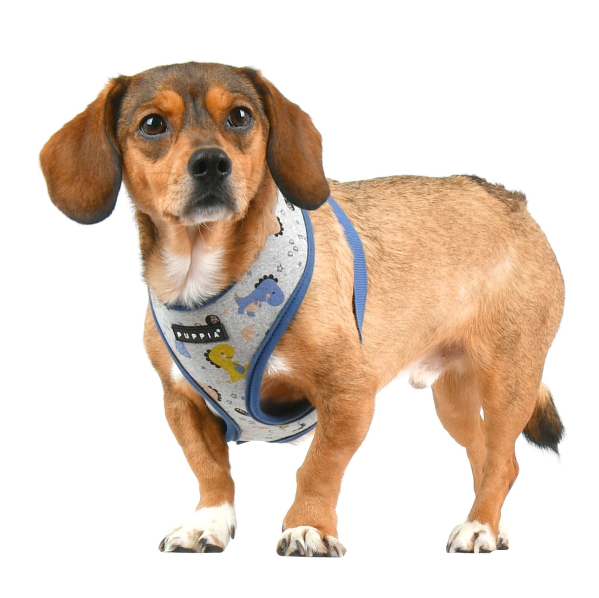 Puppia Minmi Harness Model A Blue hondentuig > honden harnas > model A Small