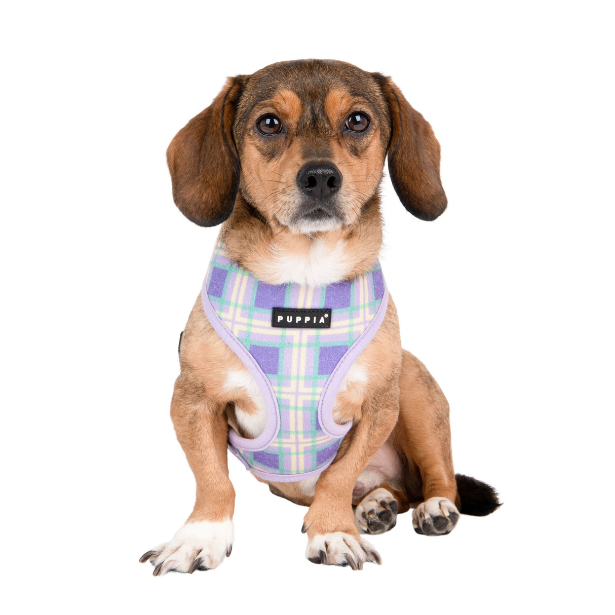 Puppia Jaylen Harness Model A Violet hondentuig > honden harnas > model A Small