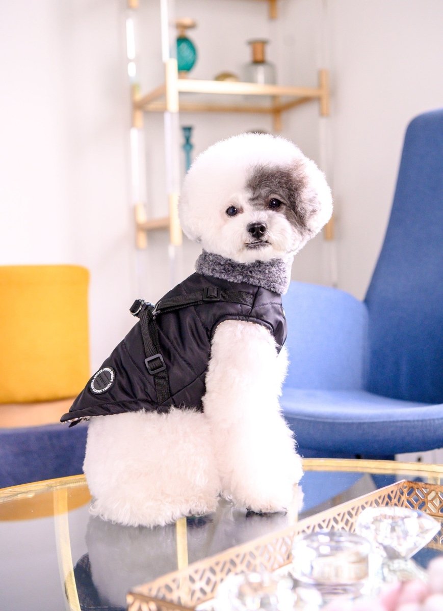 Puppia Donavan Jacket Harness Black Hondenkleding > hondenjas Small