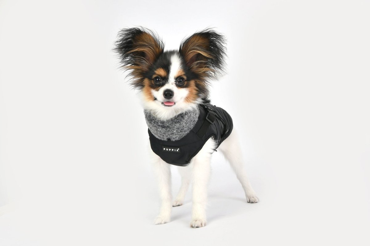 Puppia Donavan Jacket Harness Black Hondenkleding > hondenjas Small