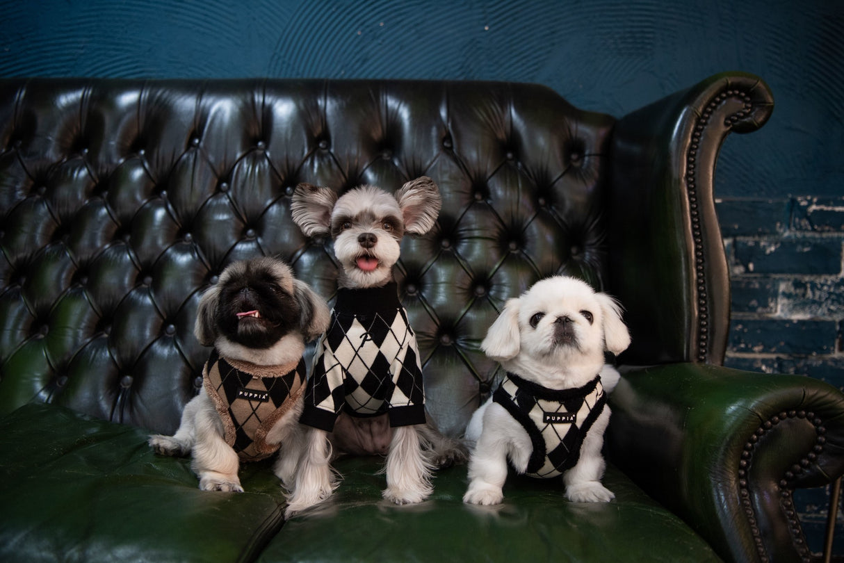 Puppia Vest Harness B Jaden Black hondentuig > honden harnas > model B Small