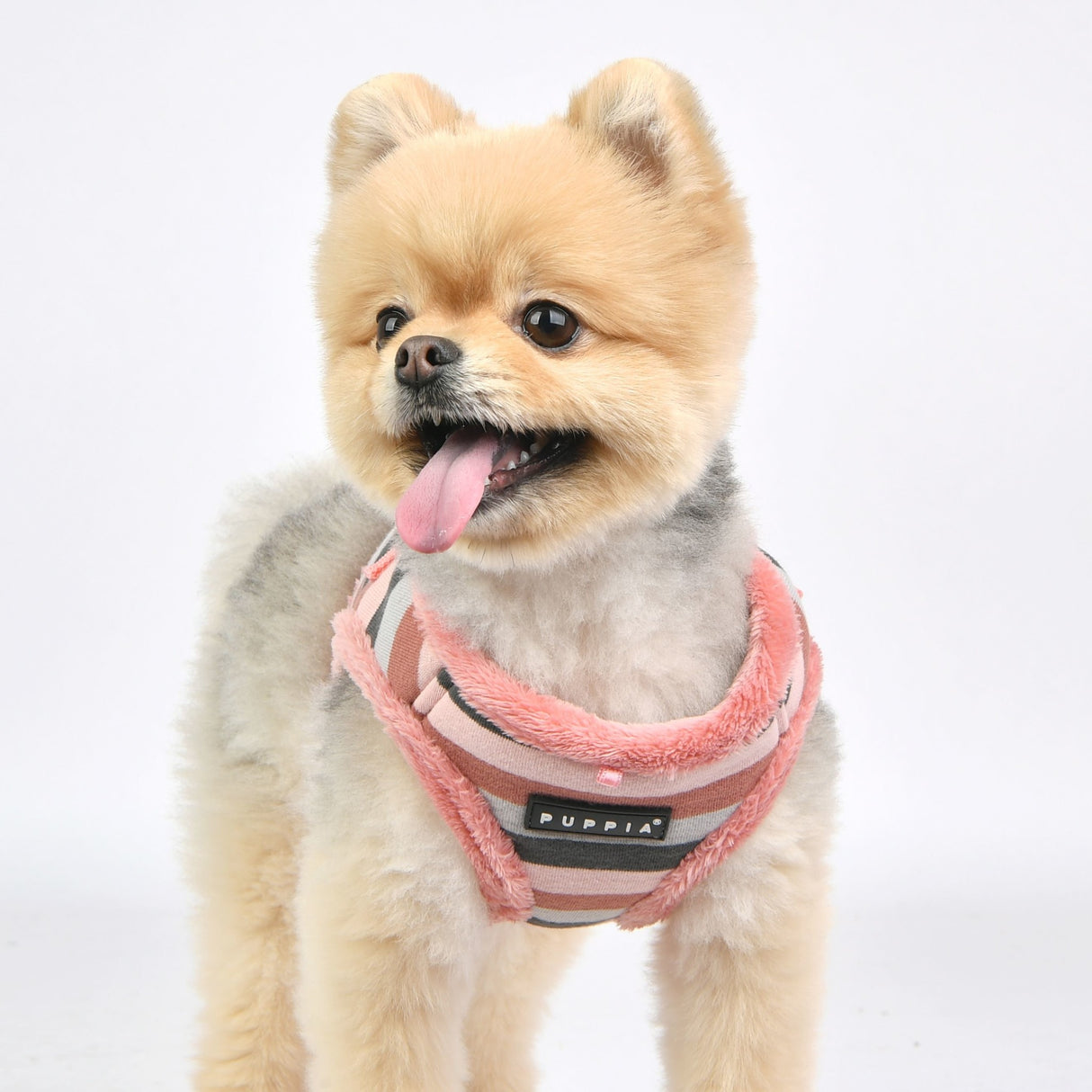 Puppia Vest Harness B Bryson Indian Pink - Premium hondentuig > honden harnas from Puppia - Just €20! Shop now at Frenkiezdogshop