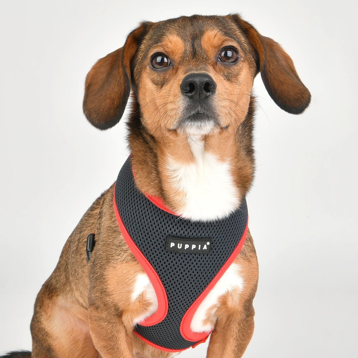 Puppia Soft Harness II model A Grey hondentuig > honden harnas > model A Small