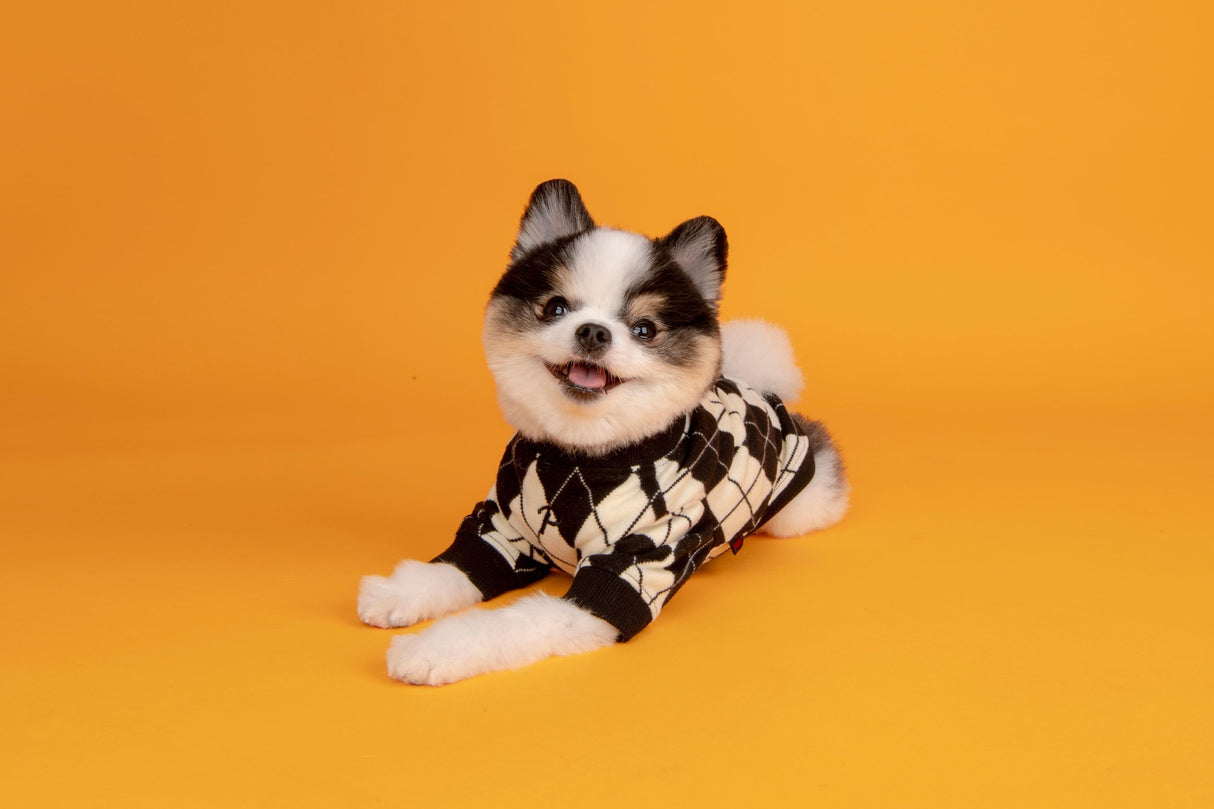 Puppia Jaden Jacket Harness Black Hondenkleding > hondenjas Small