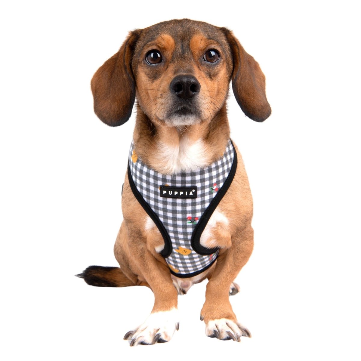 Puppia Baba Harness Model A Black hondentuig > honden harnas > model A Small