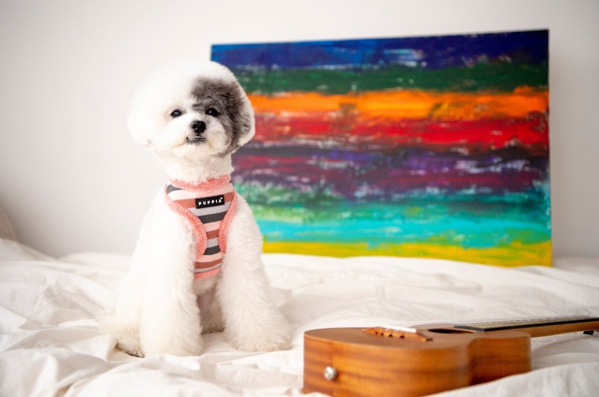 Puppia Bryson Harness Model A Indian Pink hondentuig > honden harnas > model A Small