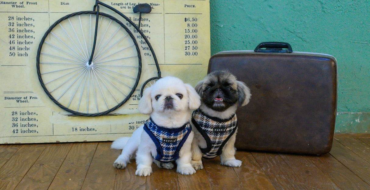 Puppia Vest Harness B Kellen Navy - Premium hondentuig > honden harnas from Puppia - Just €24.99! Shop now at Frenkiezdogshop