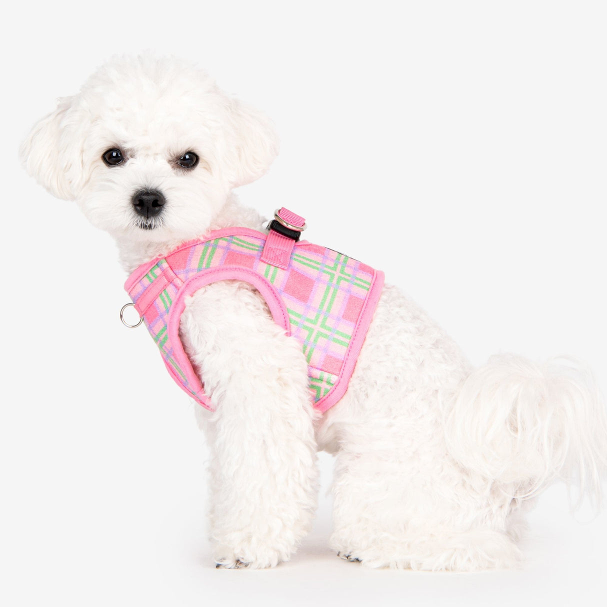 Puppia Jaylen Vest Harness model B Pink hondentuig > honden harnas > model B Small