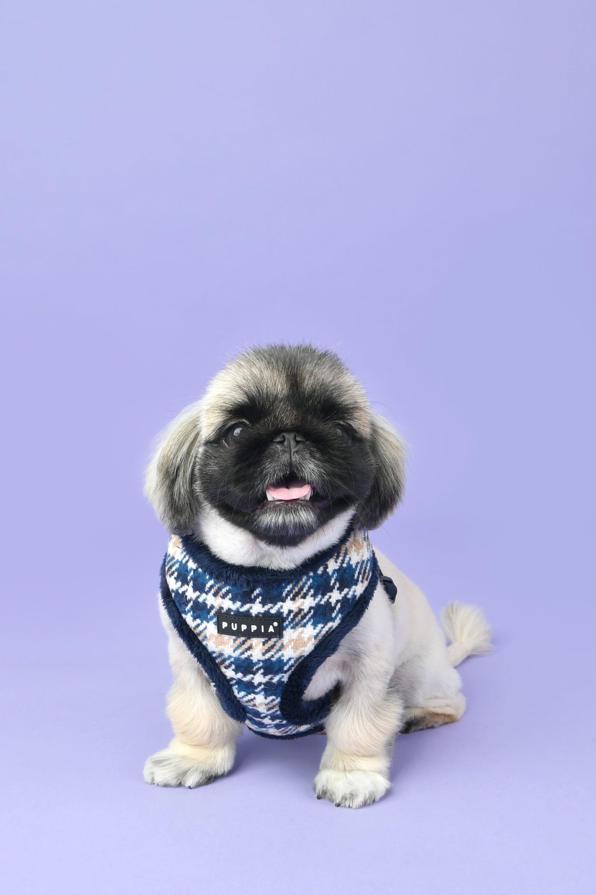 Puppia Kellen Harness Model A Navy ( X-Large ) - Premium hondentuig > honden harnas from Puppia - Just €20! Shop now at Frenkiezdogshop