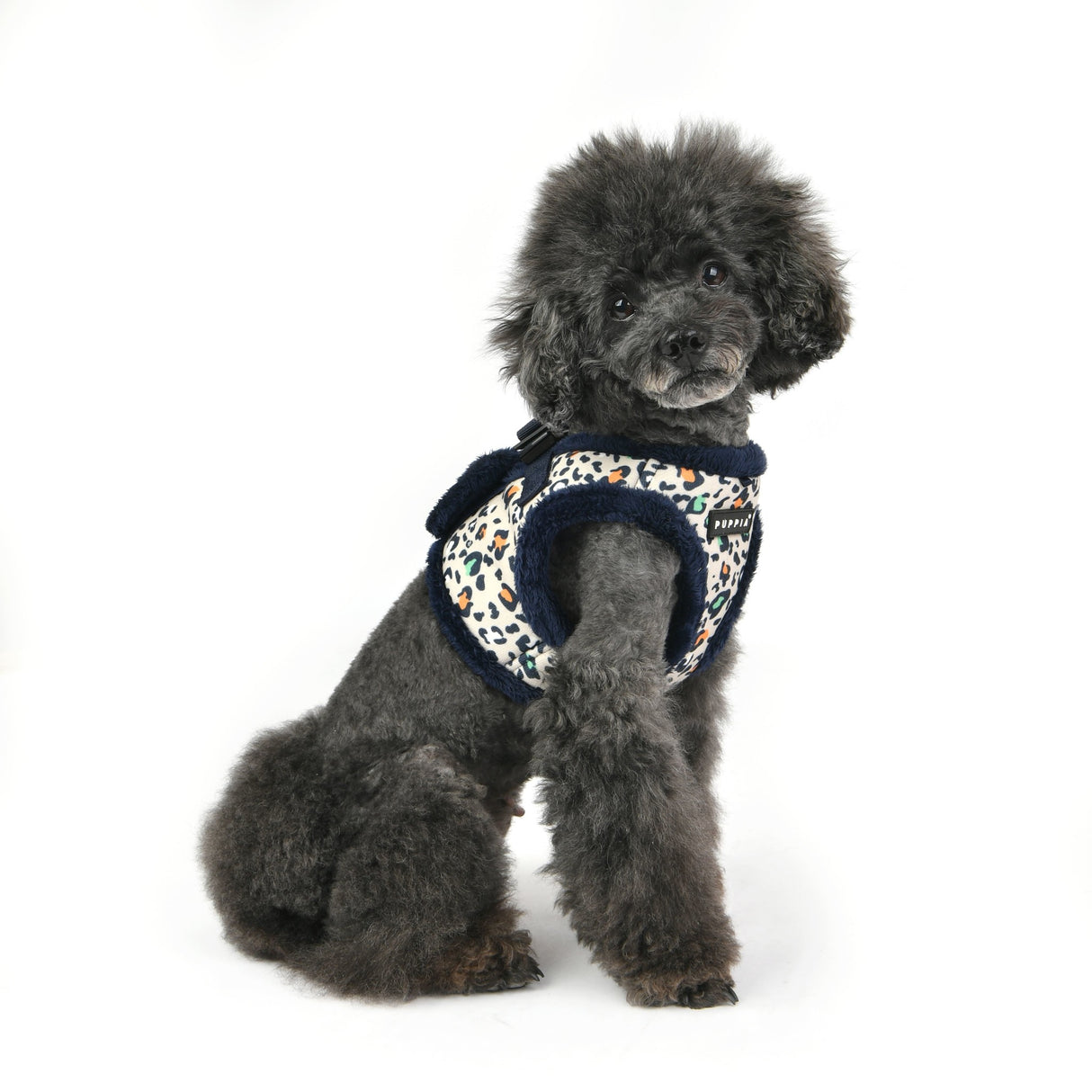 Puppia Elyse Vest Harness model B Navy - Premium hondentuig > honden harnas from Puppia - Just €20! Shop now at Frenkiezdogshop
